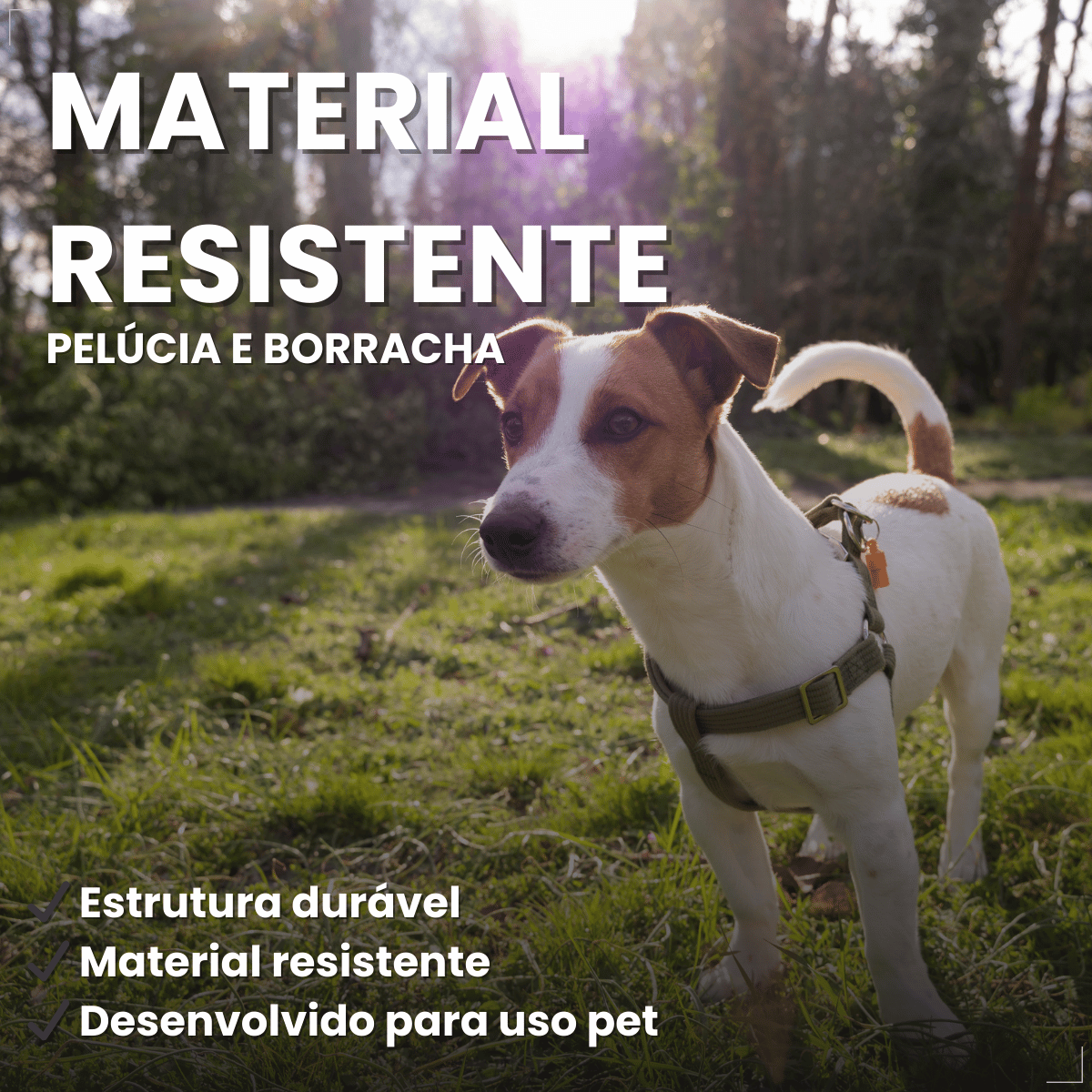 Brinquedo Chalesco Dog Treat para Cães