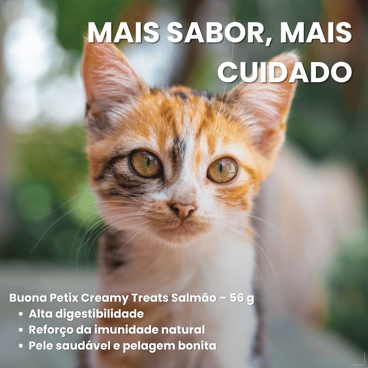 Petisco Úmido Gato Buona Petix Salmão 56g 4 unidades