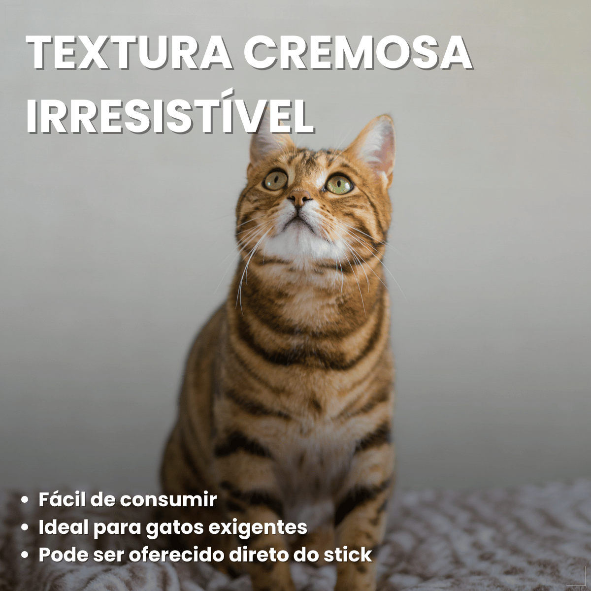 Petisco Úmido Gato Buona Petix Salmão 56g 4 unidades