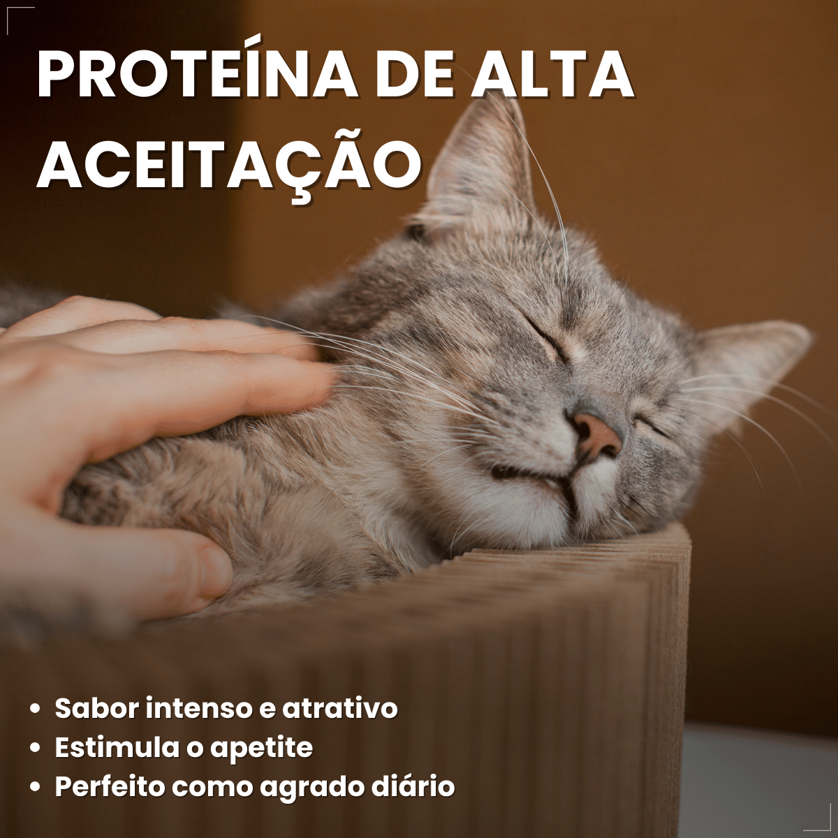 Petisco Úmido Gato Buona Petix Salmão 56g 4 unidades