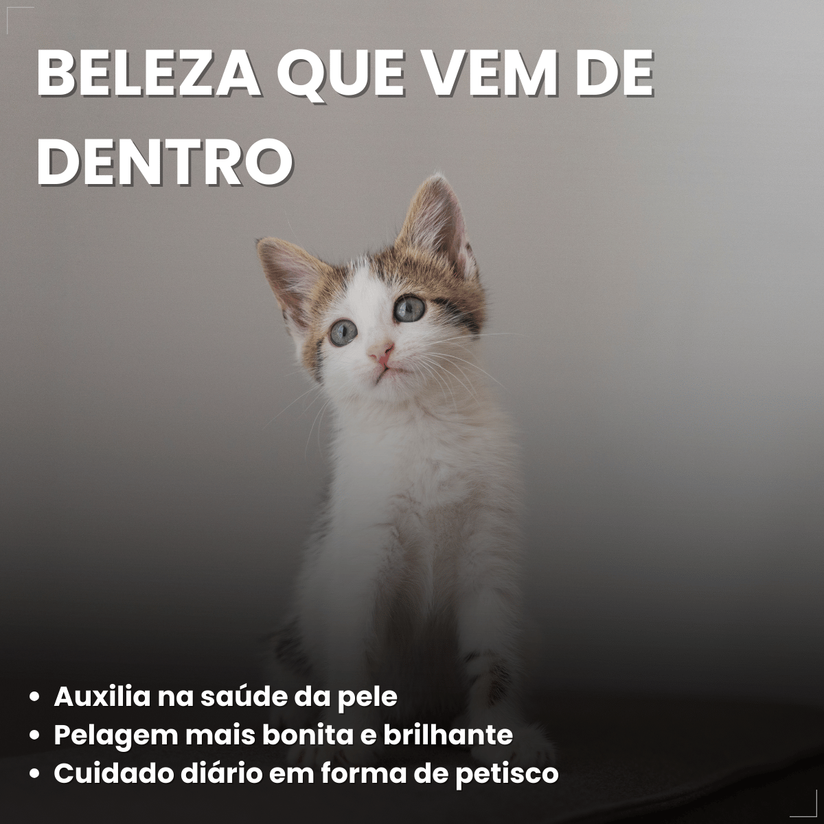 Petisco Úmido Gato Buona Petix Salmão 56g 4 unidades