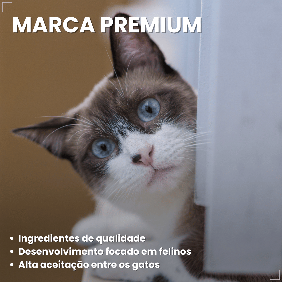Petisco Úmido Gato Buona Petix Salmão 56g 4 unidades