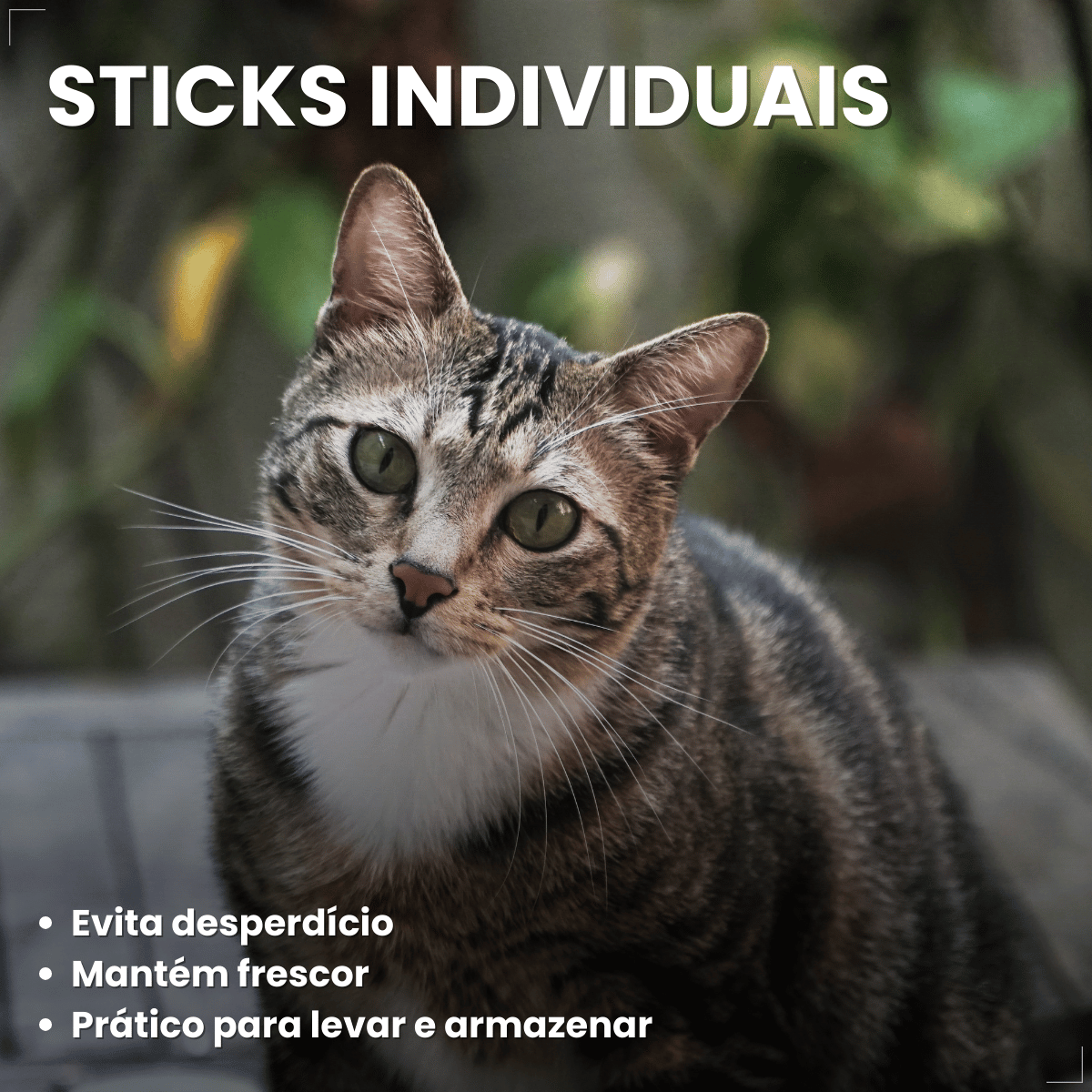 Petisco Úmido Gato Buona Petix Salmão 56g 4 unidades