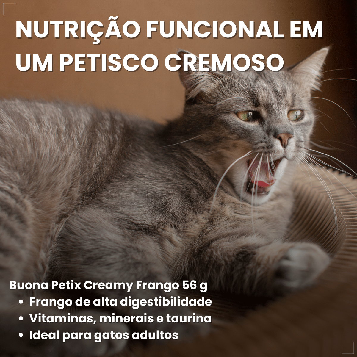 Petisco Úmido Gato Buona Petix Frango 56g 4 unidades