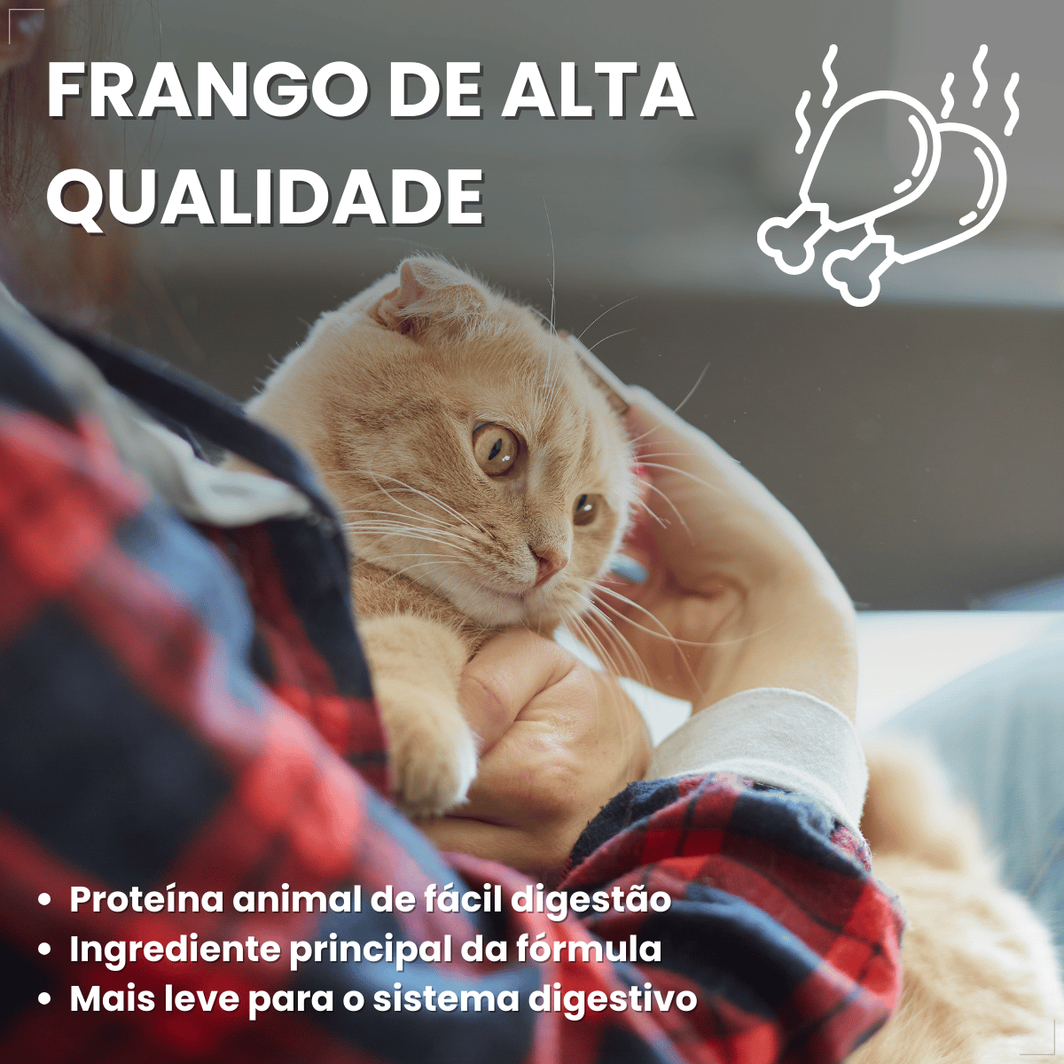 Petisco Úmido Gato Buona Petix Frango 56g 4 unidades