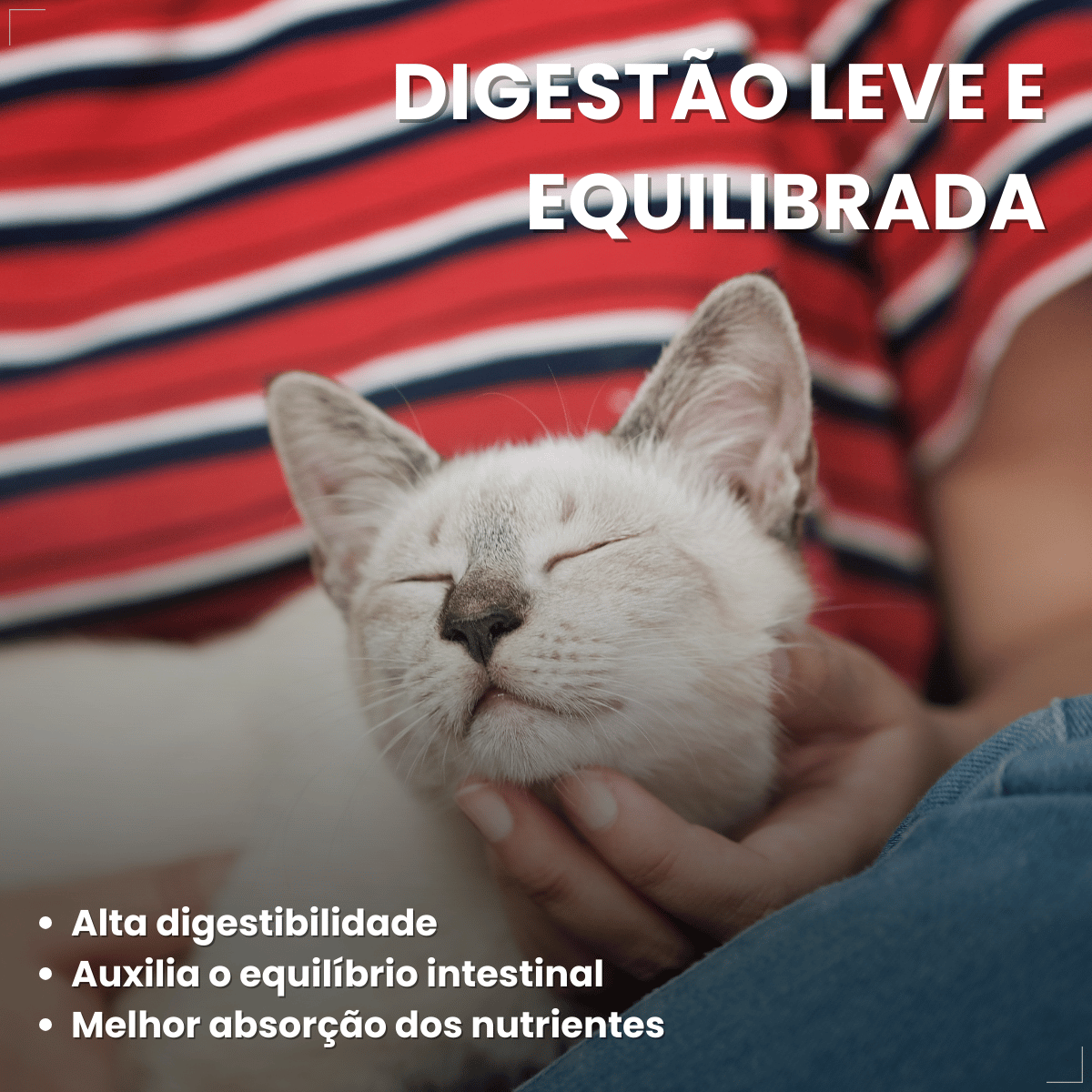 Petisco Úmido Gato Buona Petix Frango 56g 4 unidades