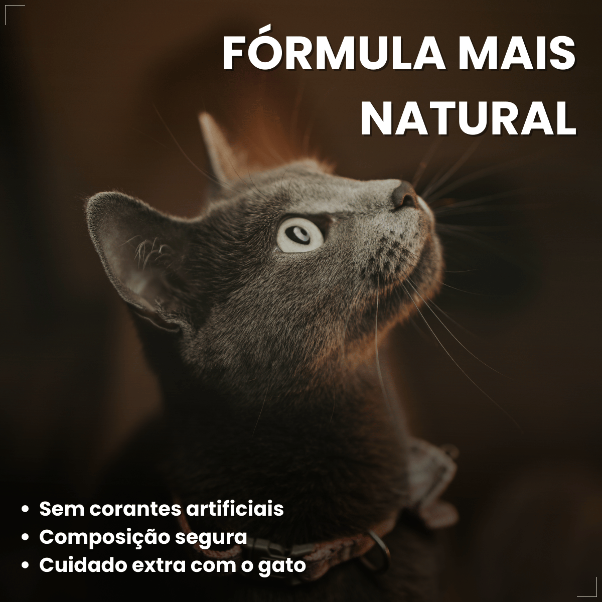 Petisco Úmido Gato Buona Petix Frango 56g 4 unidades