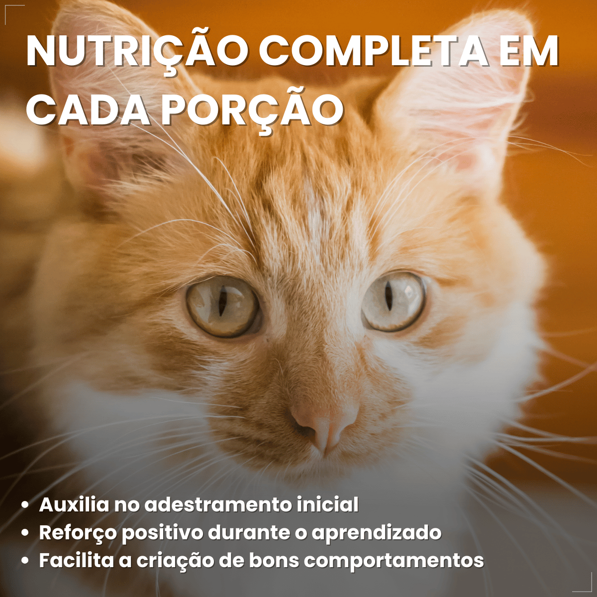 Petisco Úmido Gato Buona Petix Frango 56g 4 unidades