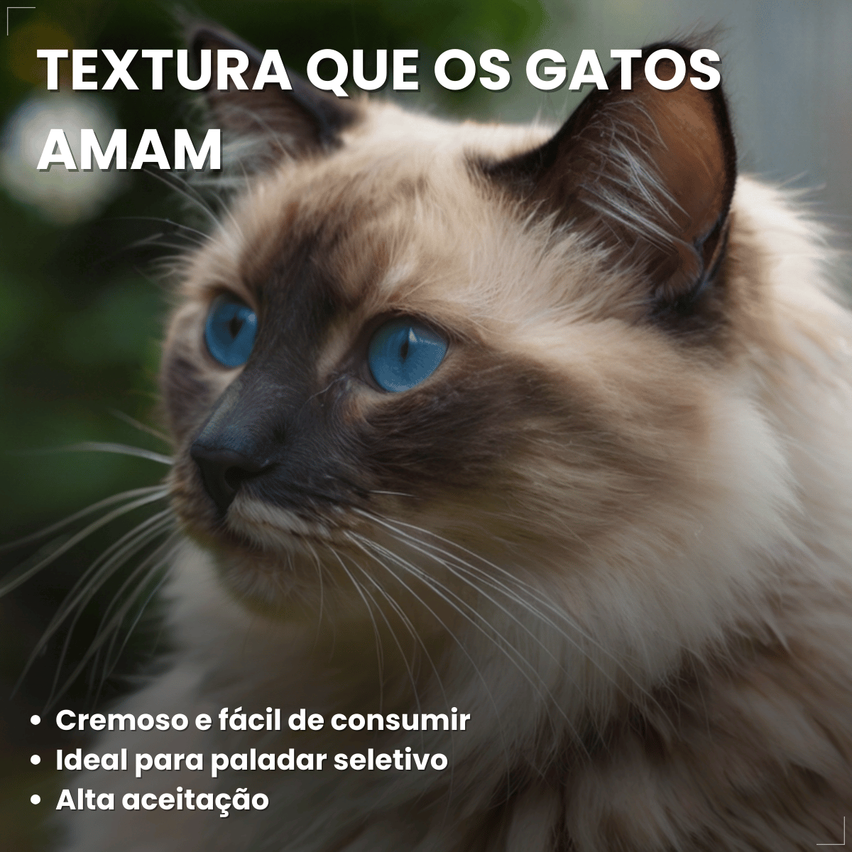 Petisco Úmido Gato Buona Petix Frango 56g 4 unidades