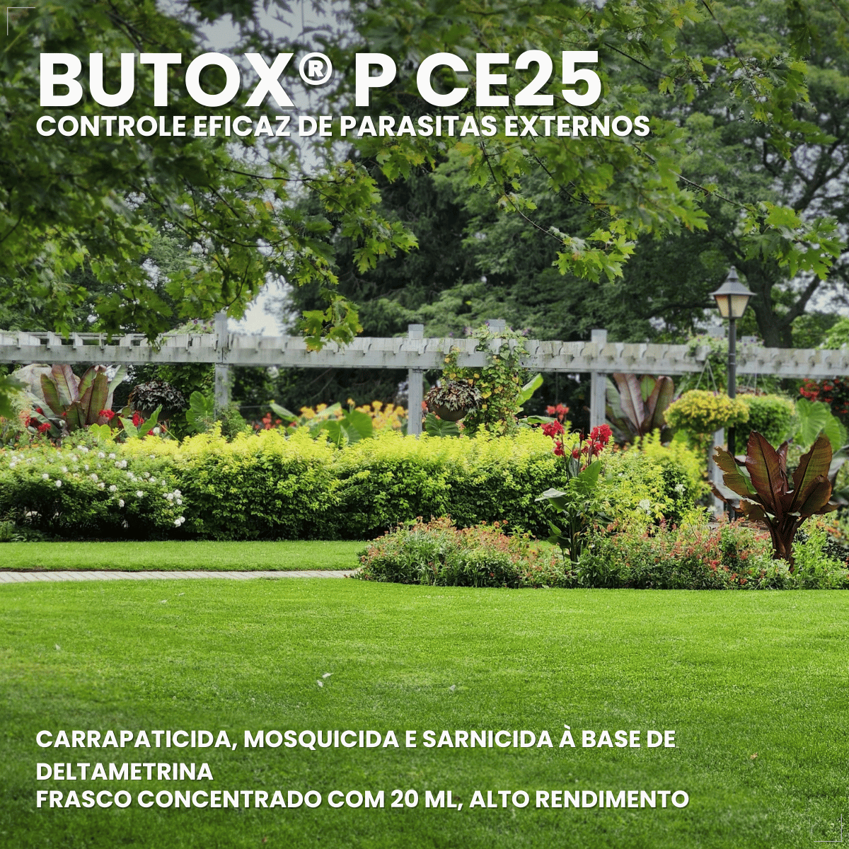 kit 3 Butox 20ml Antipulgas e Carrapatos para Cães e Gatos