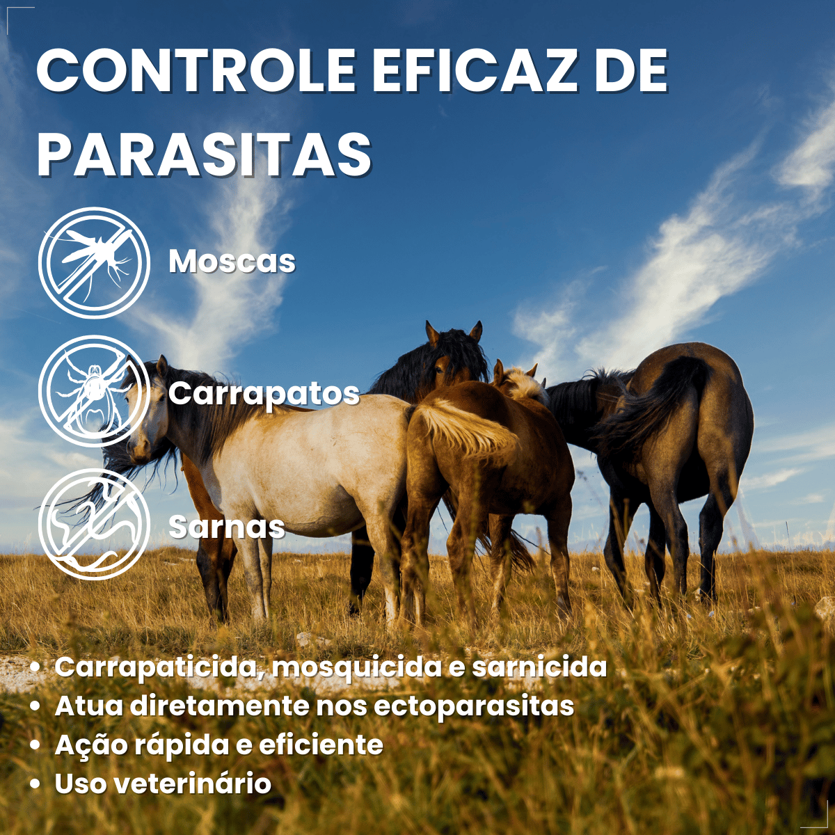 kit 3 Butox 20ml Antipulgas e Carrapatos para Cães e Gatos