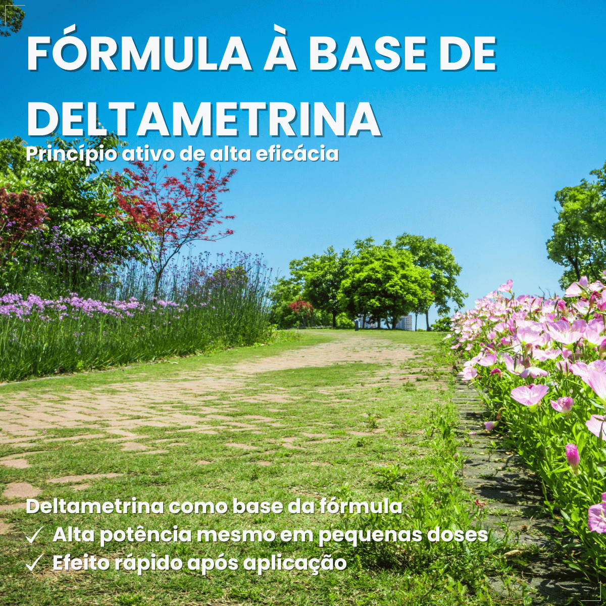 kit 3 Butox 20ml Antipulgas e Carrapatos para Cães e Gatos