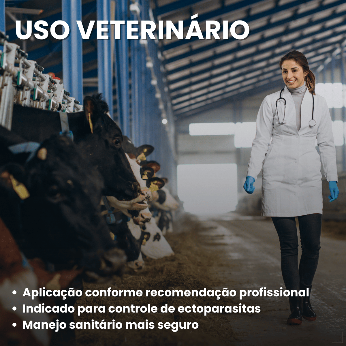 kit 3 Butox 20ml Antipulgas e Carrapatos para Cães e Gatos