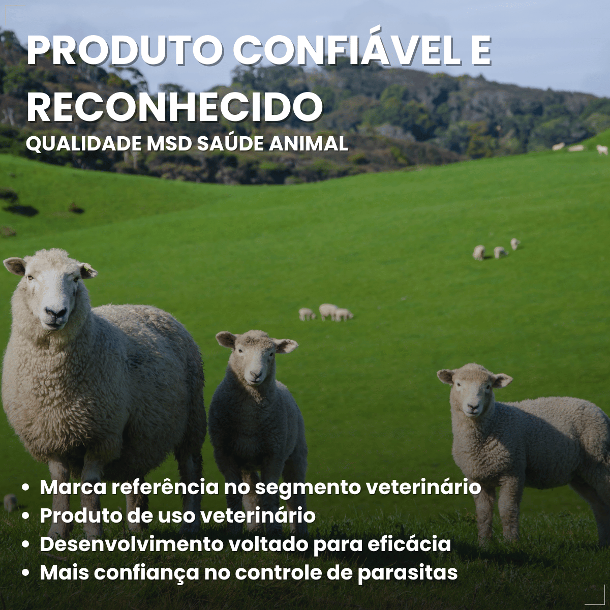 kit 3 Butox 20ml Antipulgas e Carrapatos para Cães e Gatos