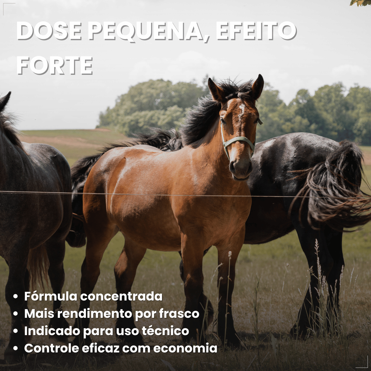 kit 3 Butox 20ml Antipulgas e Carrapatos para Cães e Gatos
