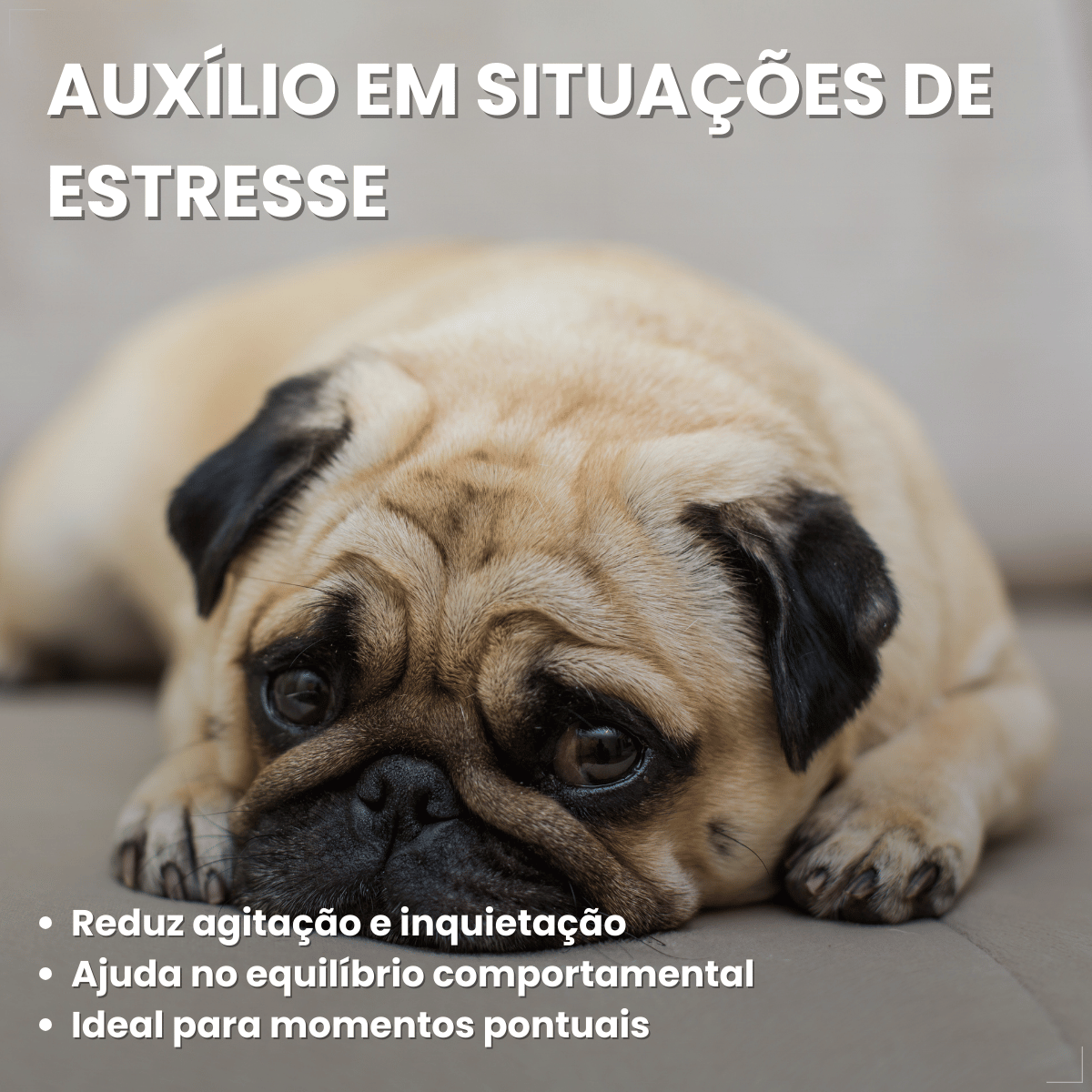 Kit 2 Calmavet 30ml Calmante Natural Para Cães E Gatos Provets