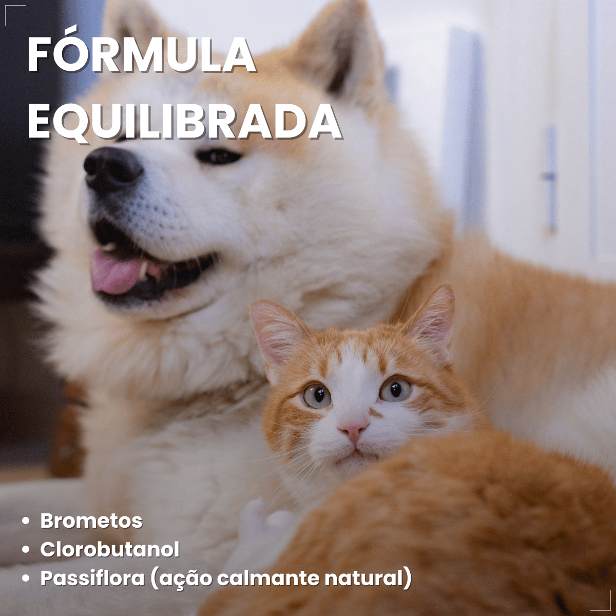 Kit 2 Calmavet 30ml Calmante Natural Para Cães E Gatos Provets