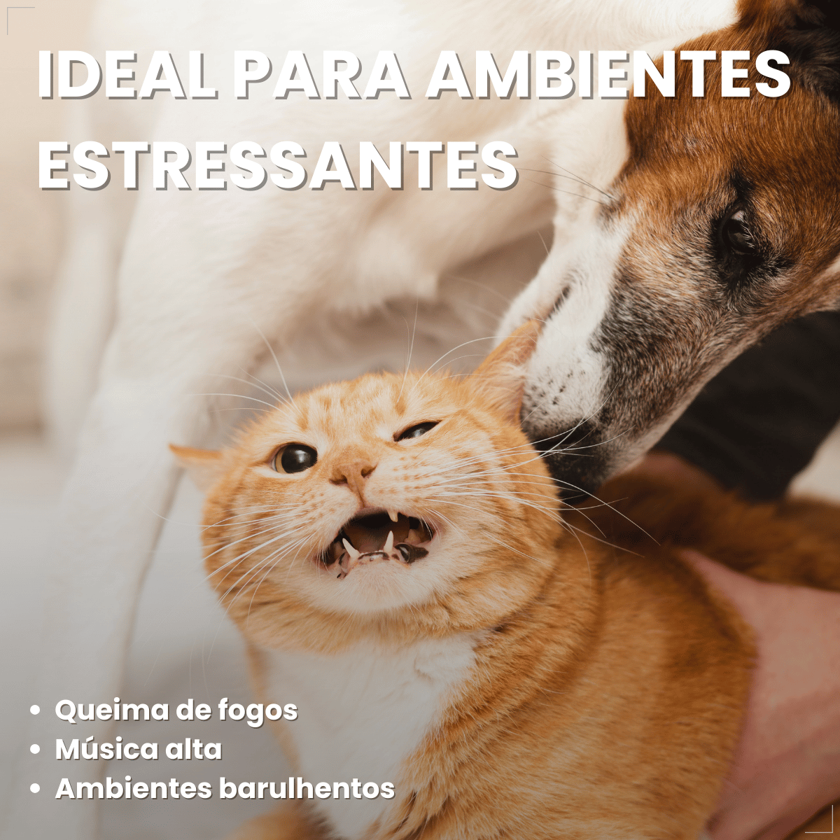 Kit 2 Calmavet 30ml Calmante Natural Para Cães E Gatos Provets
