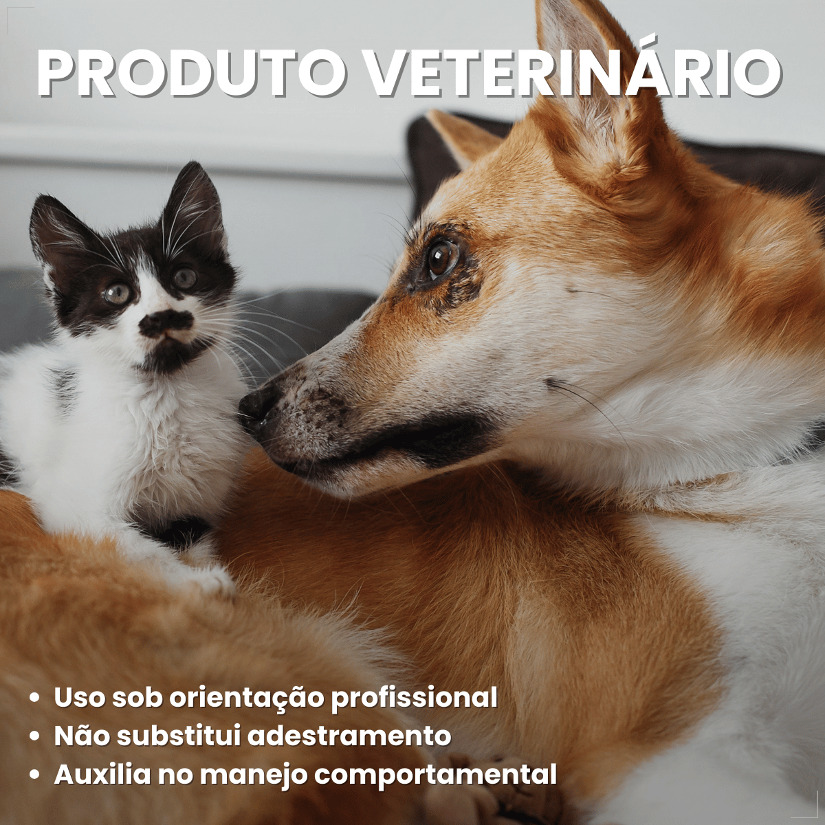Kit 2 Calmavet 30ml Calmante Natural Para Cães E Gatos Provets