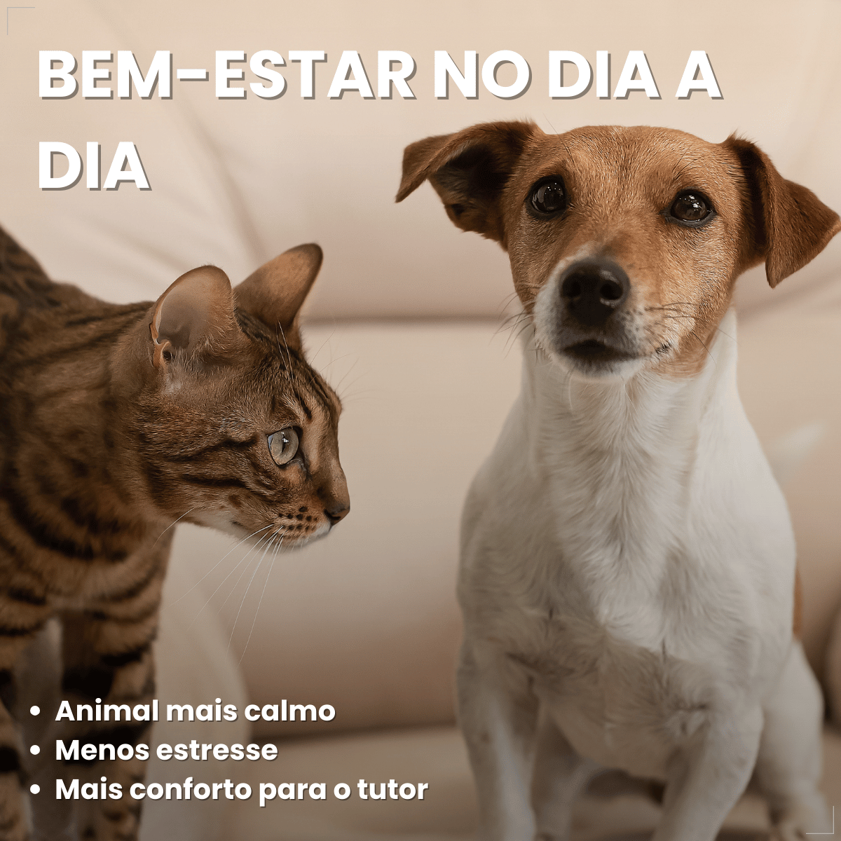 Kit 2 Calmavet 30ml Calmante Natural Para Cães E Gatos Provets