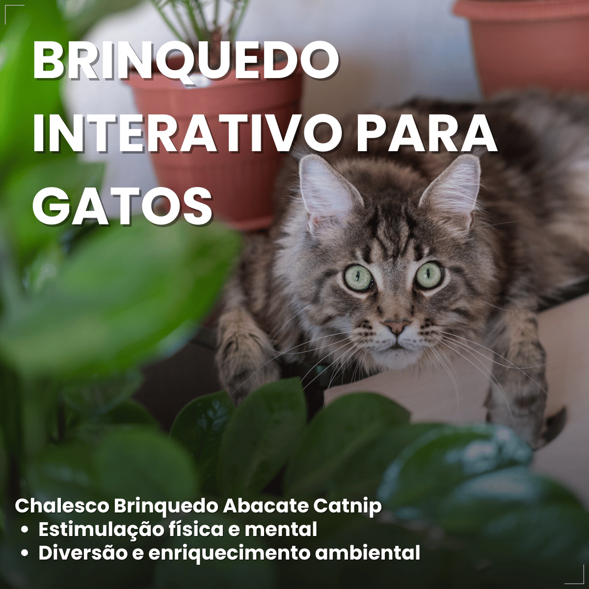 Chalesco Brinquedo Abacate Catnip para Gatos