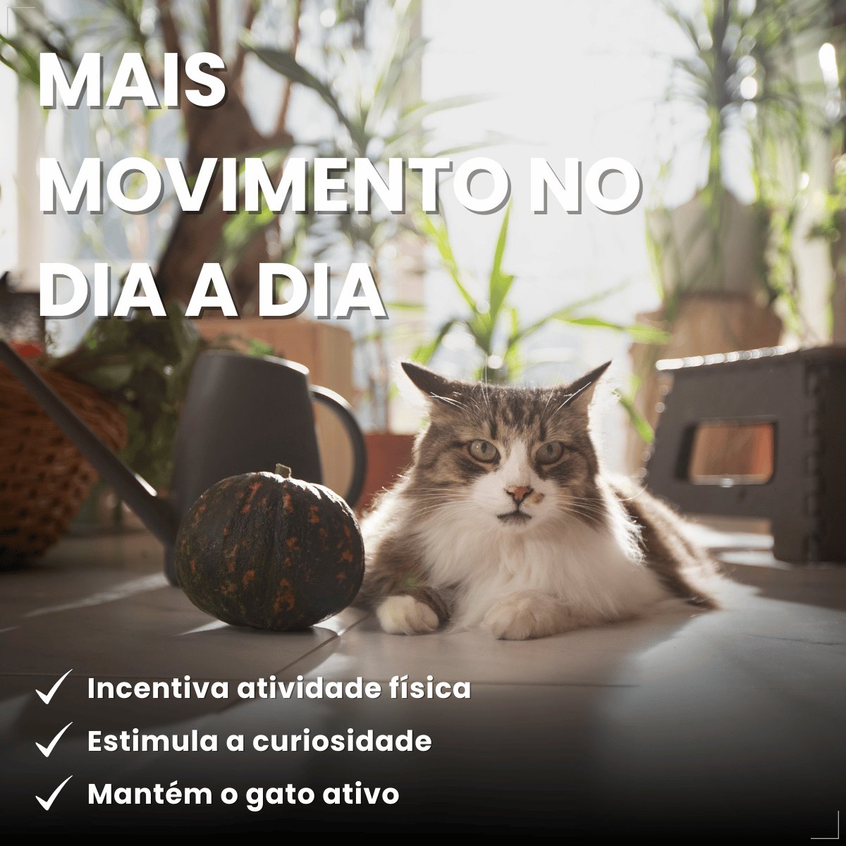 Chalesco Brinquedo Abacate Catnip para Gatos