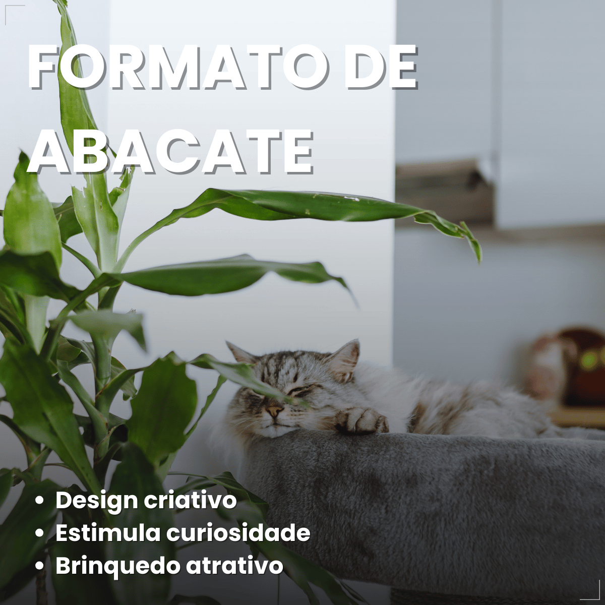 Chalesco Brinquedo Abacate Catnip para Gatos