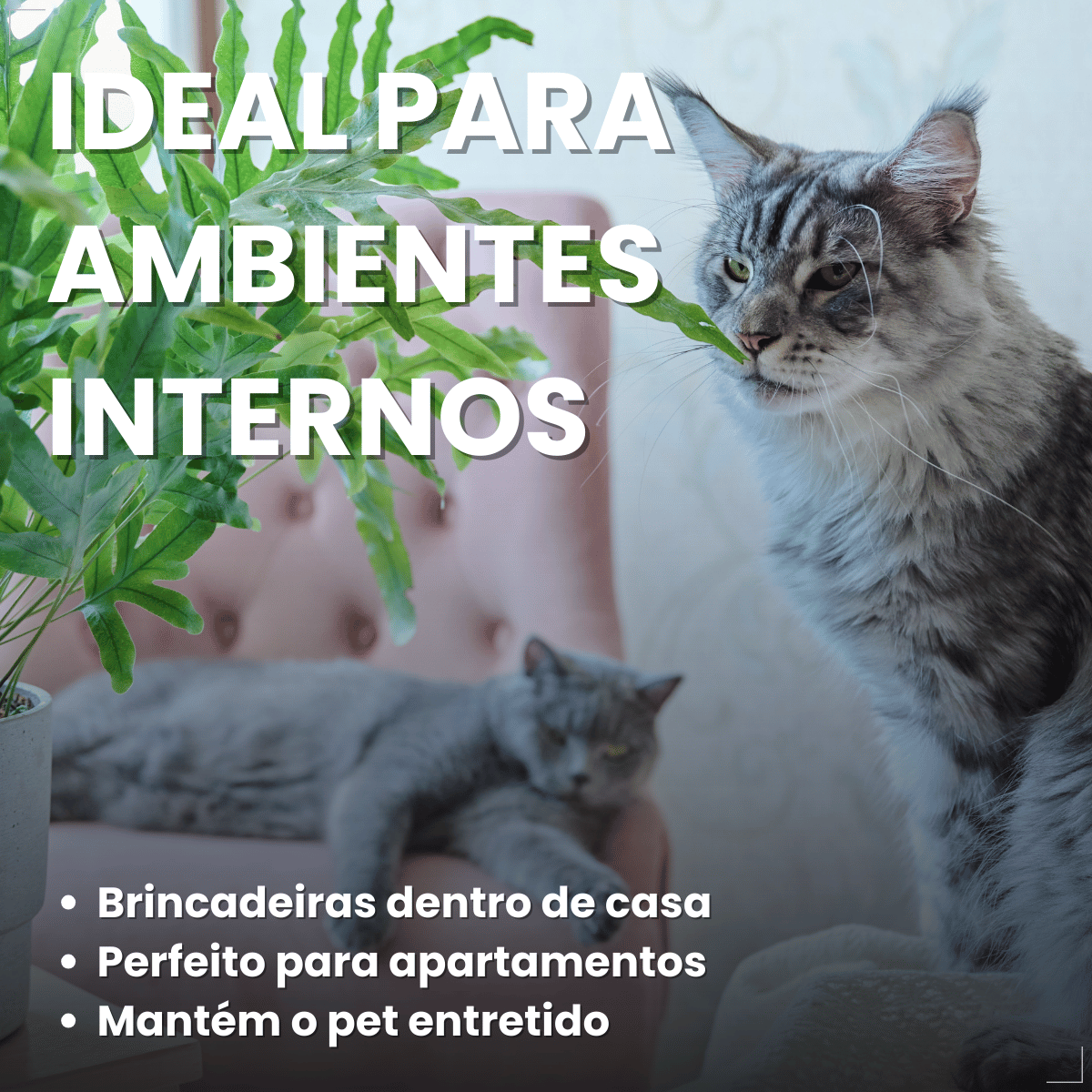 Chalesco Brinquedo Abacate Catnip para Gatos