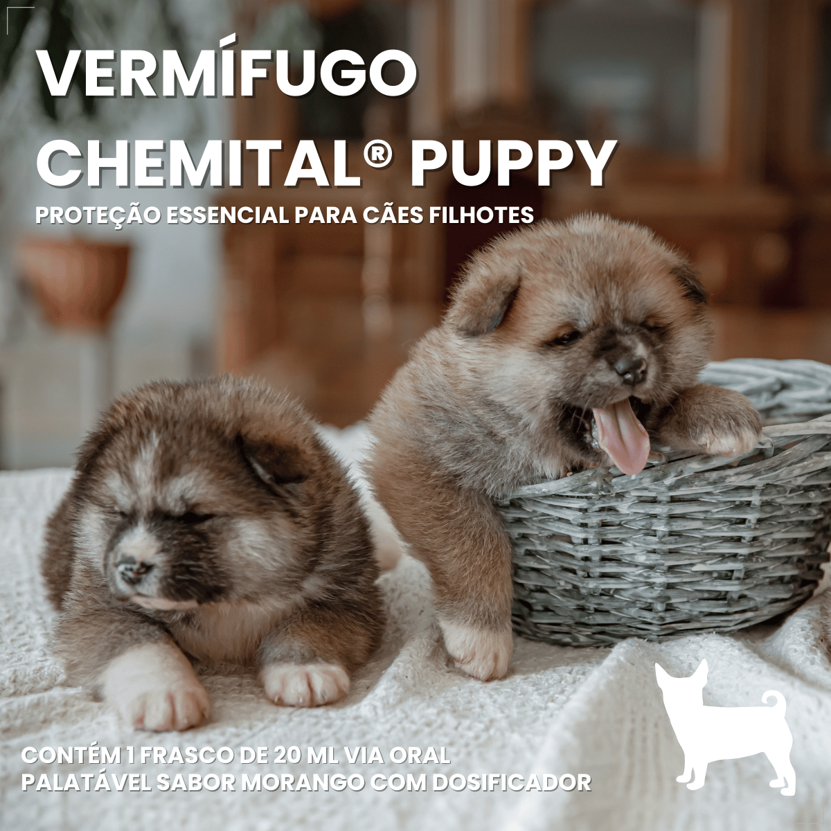 Vermífugo Chemital Puppy Para Cachorro Frasco Com 20 Ml