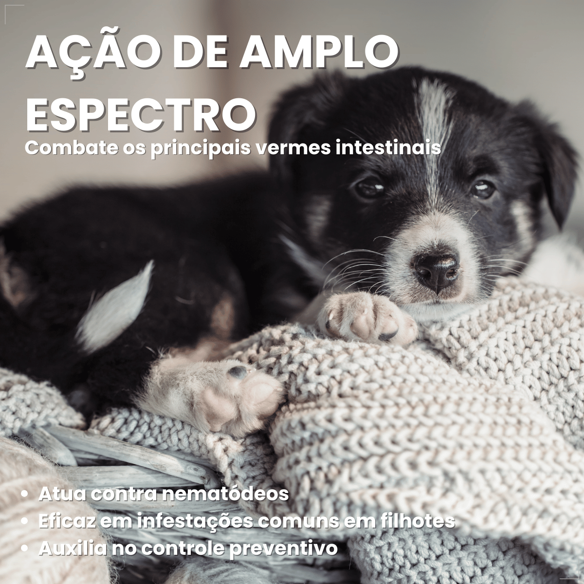 Vermífugo Chemital Puppy Para Cachorro Frasco Com 20 Ml