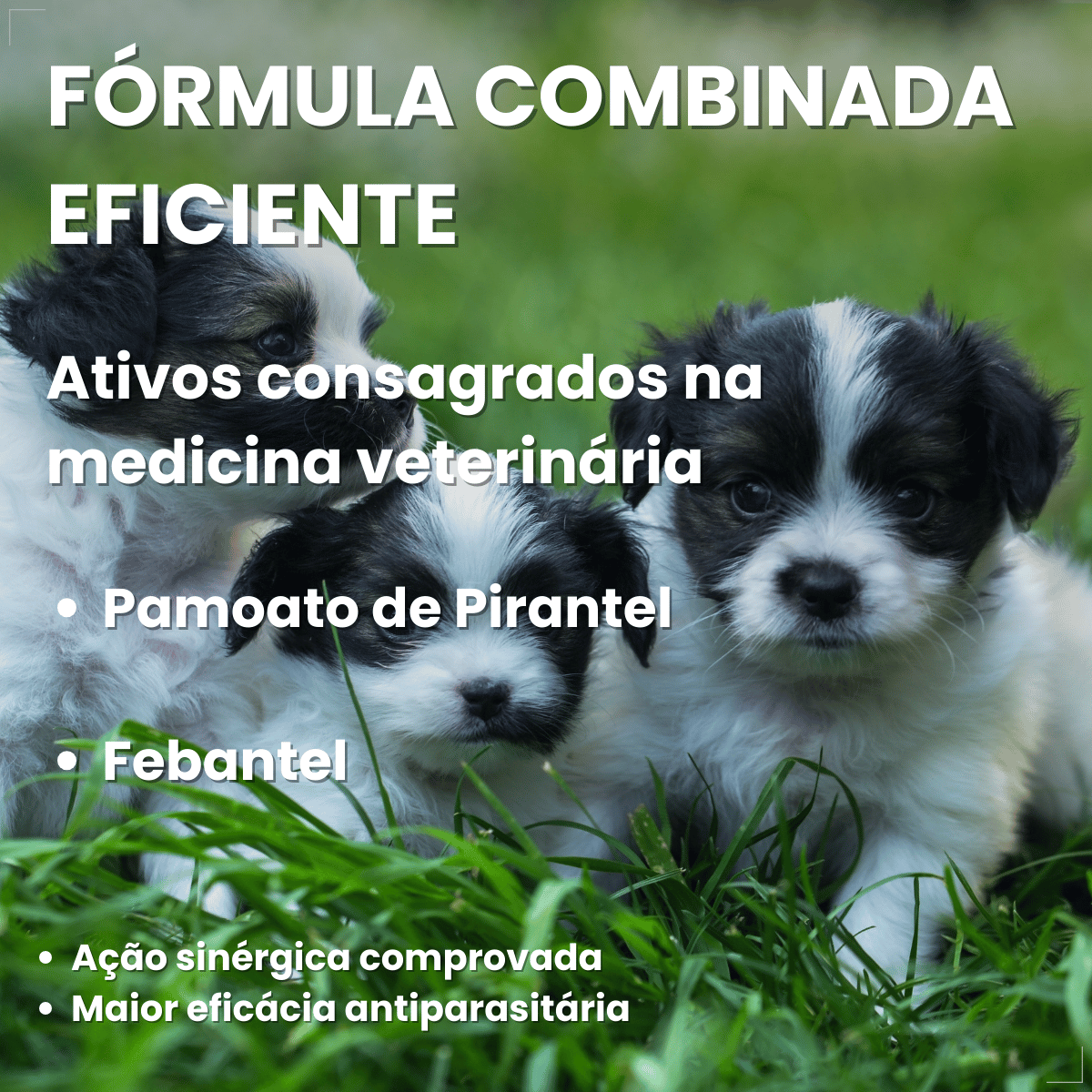 Vermífugo Chemital Puppy Para Cachorro Frasco Com 20 Ml