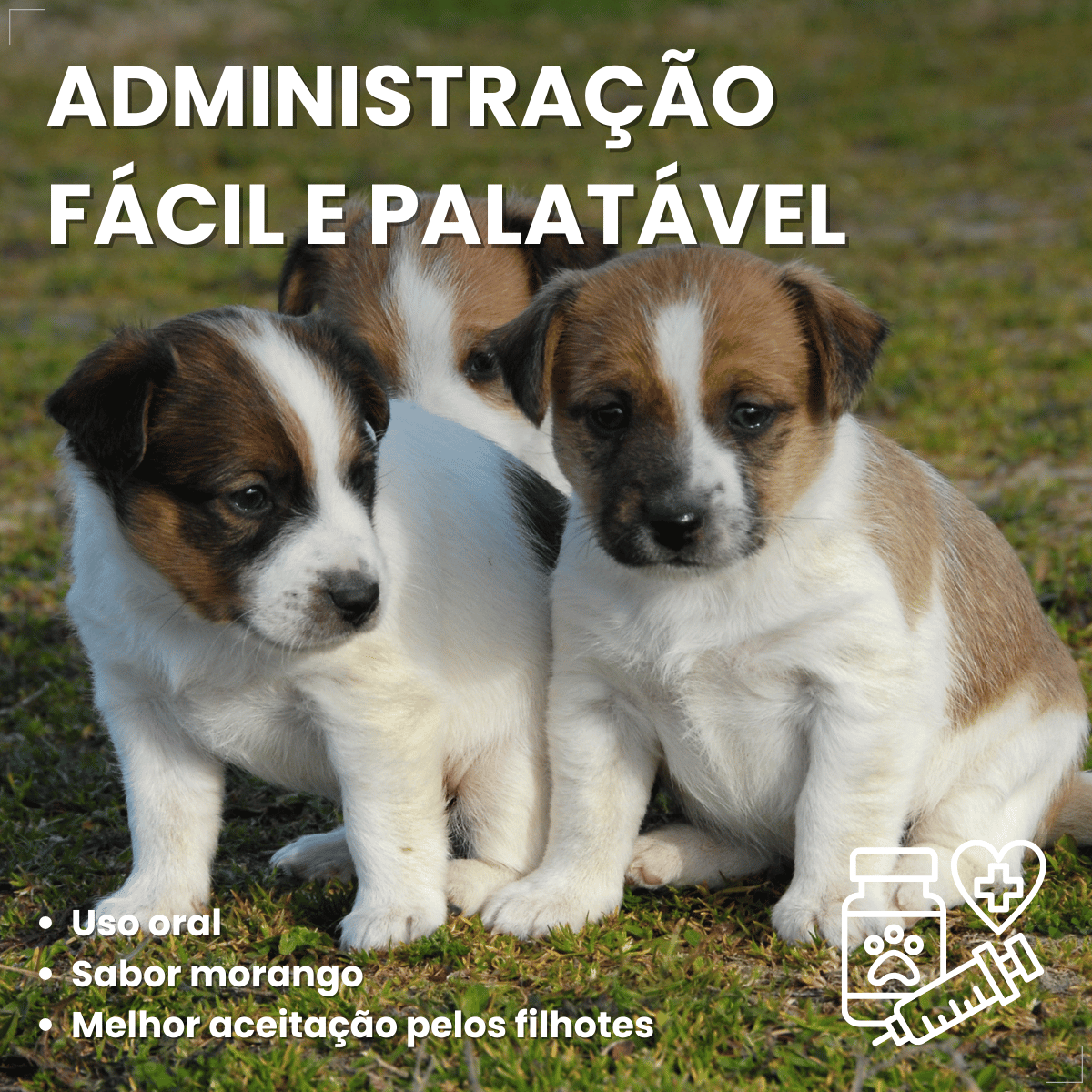 Vermífugo Chemital Puppy Para Cachorro Frasco Com 20 Ml