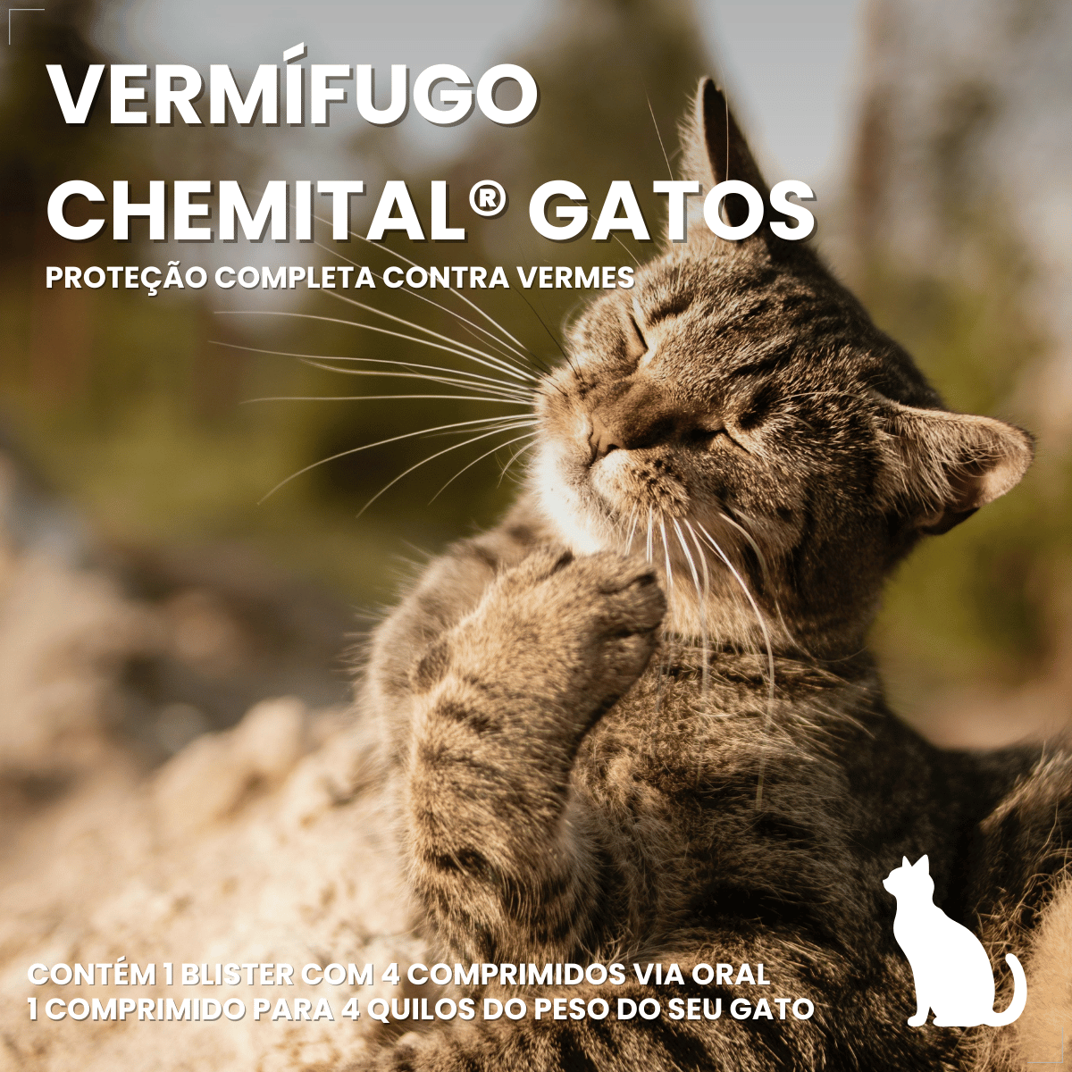 Chemital Vermífugo para gatos 4 comprimidos