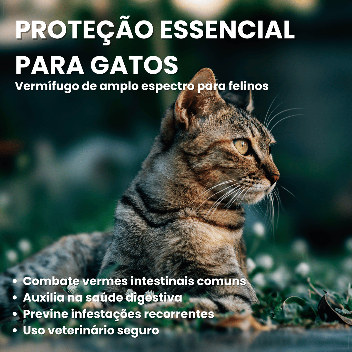 Chemital Vermífugo para gatos 4 comprimidos