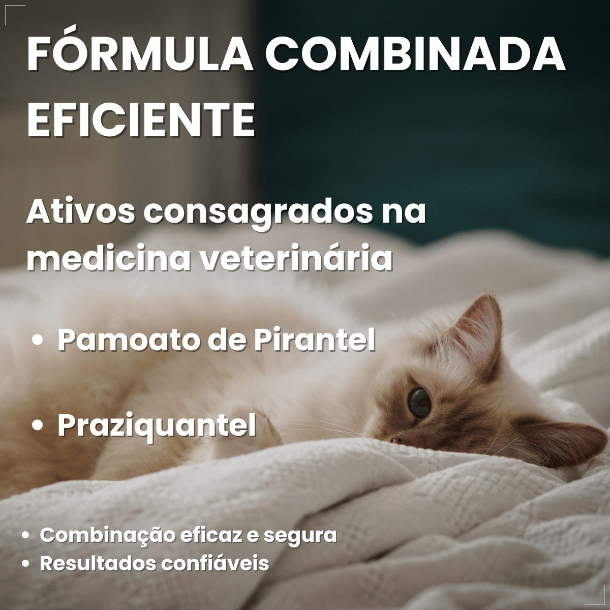 Chemital Vermífugo para gatos 4 comprimidos
