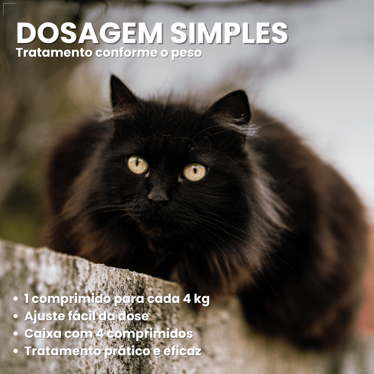 Chemital Vermífugo para gatos 4 comprimidos