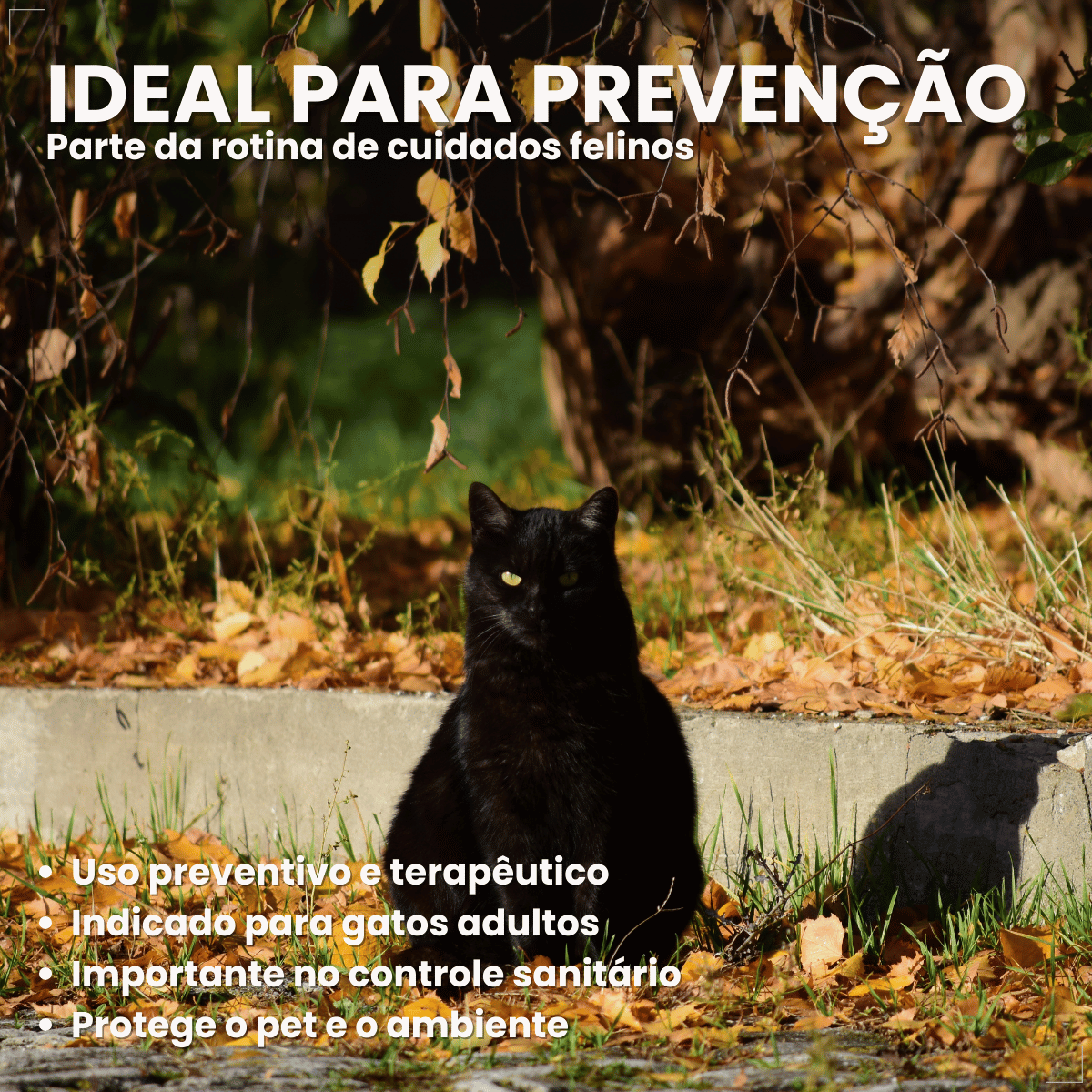 Chemital Vermífugo para gatos 4 comprimidos