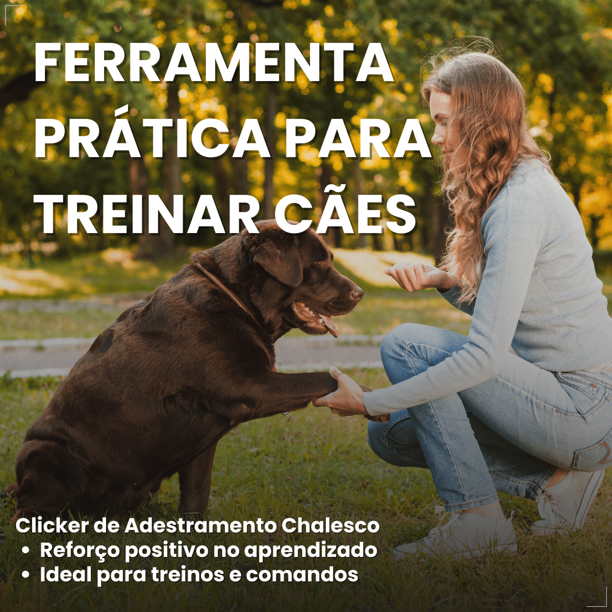 Clicker Adestramento Chalesco para Cães