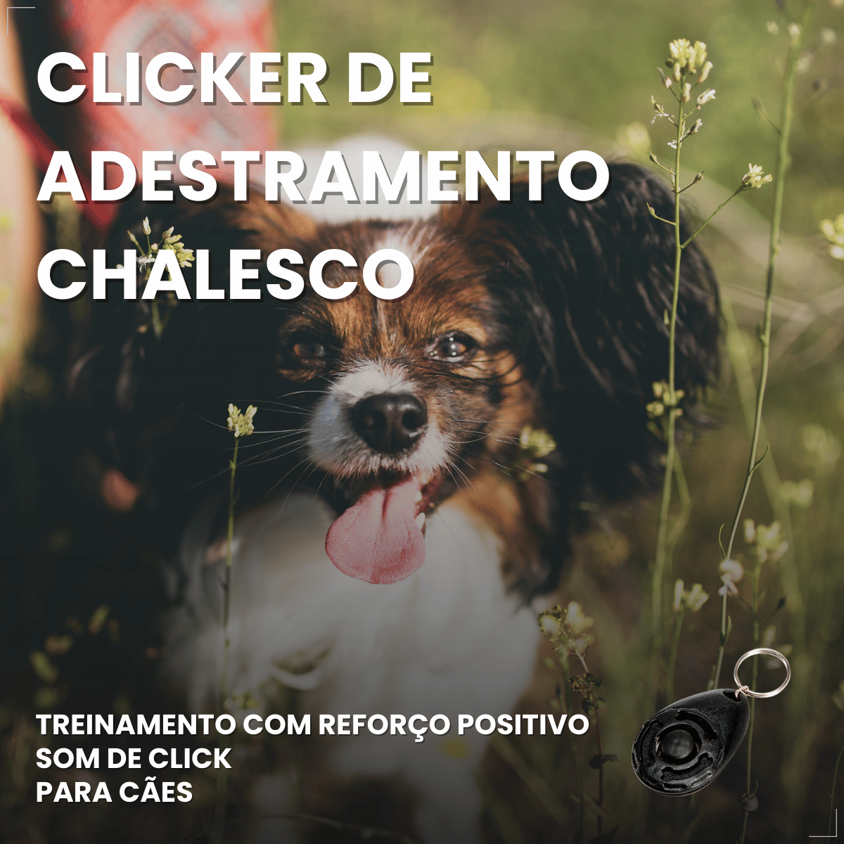 Clicker Adestramento Chalesco para Cães