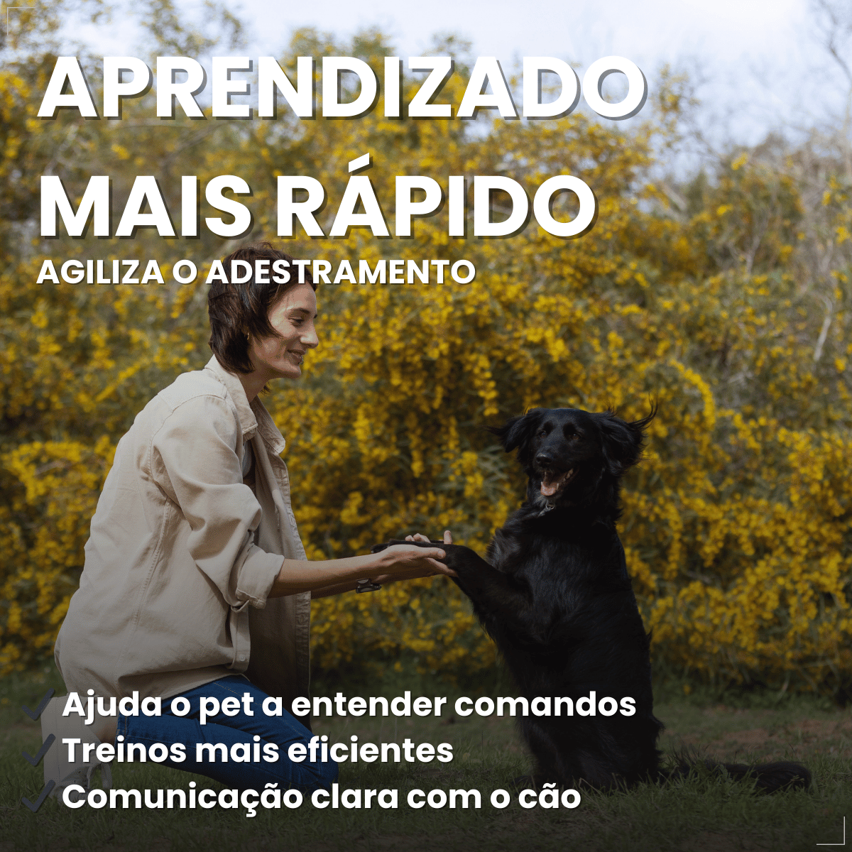 Clicker Adestramento Chalesco para Cães