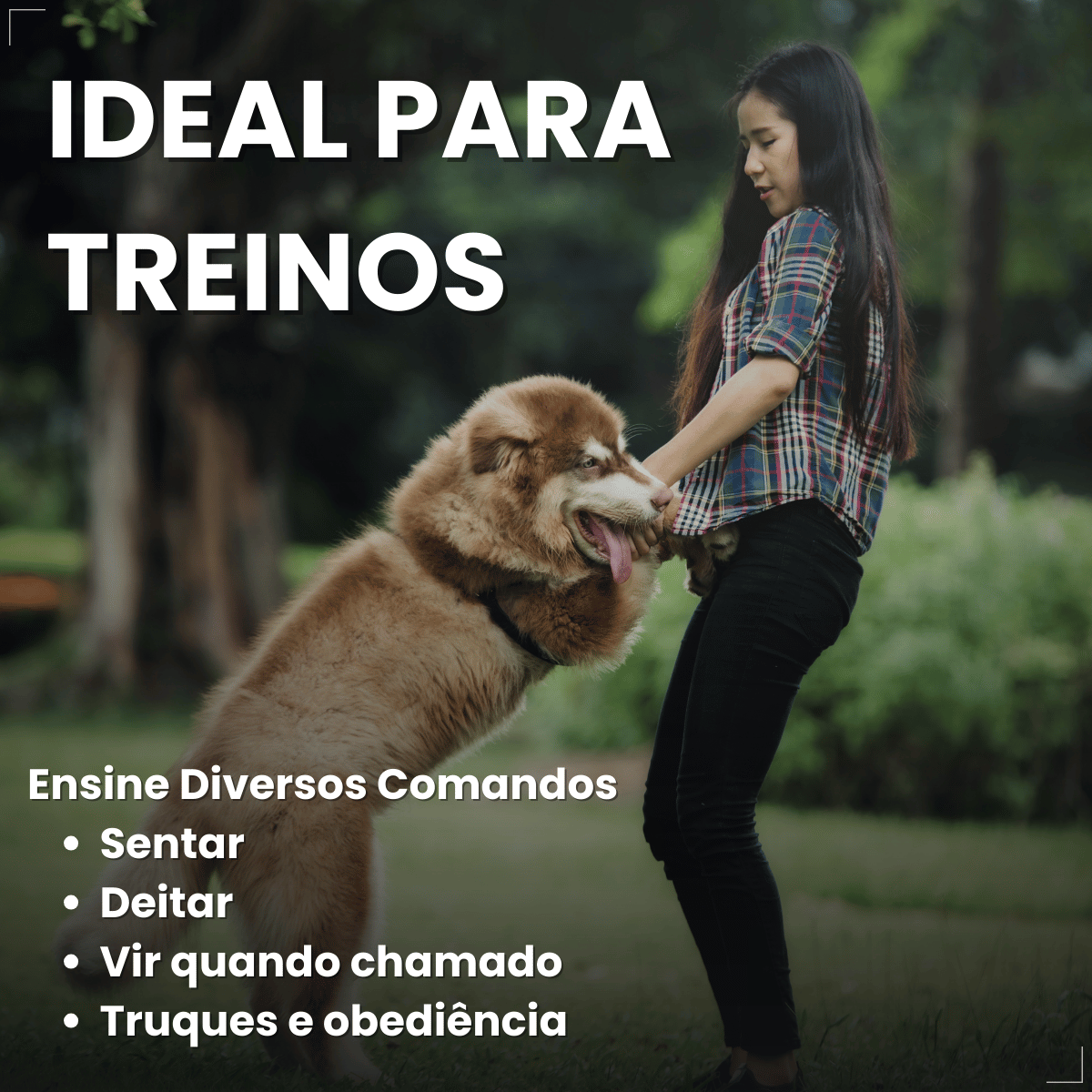 Clicker Adestramento Chalesco para Cães