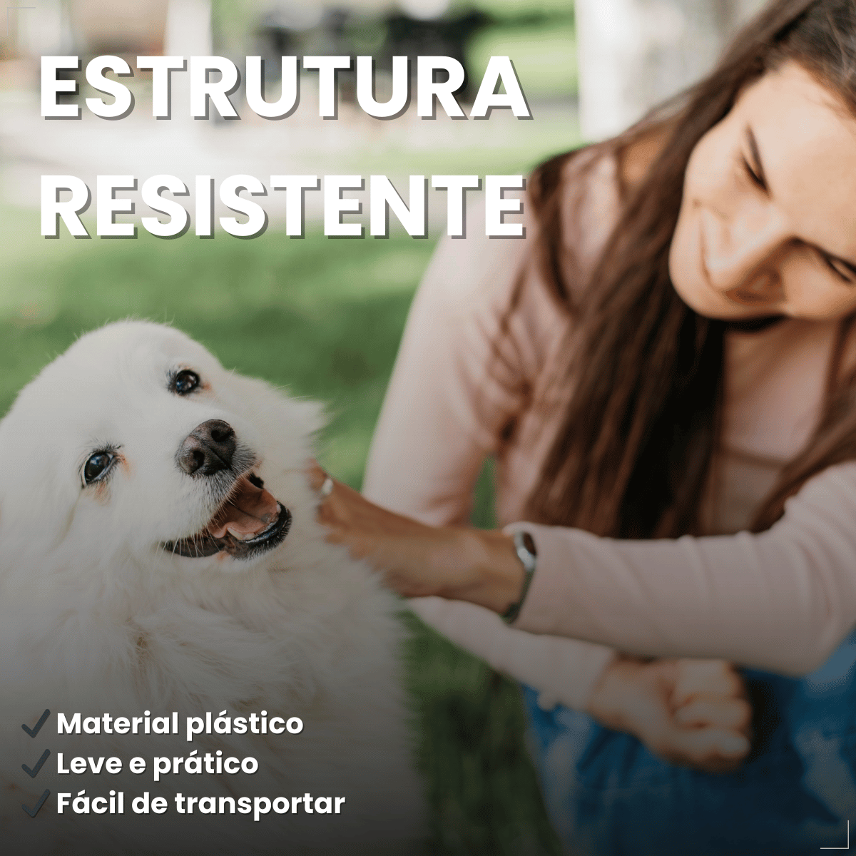 Clicker Adestramento Chalesco para Cães