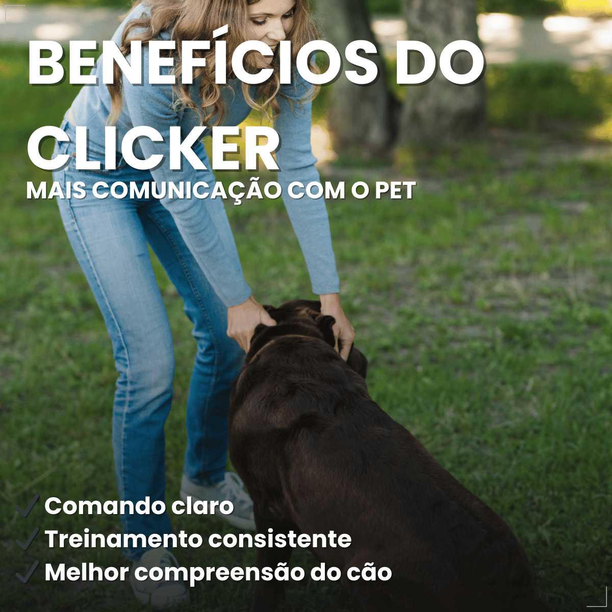 Clicker Adestramento Chalesco para Cães