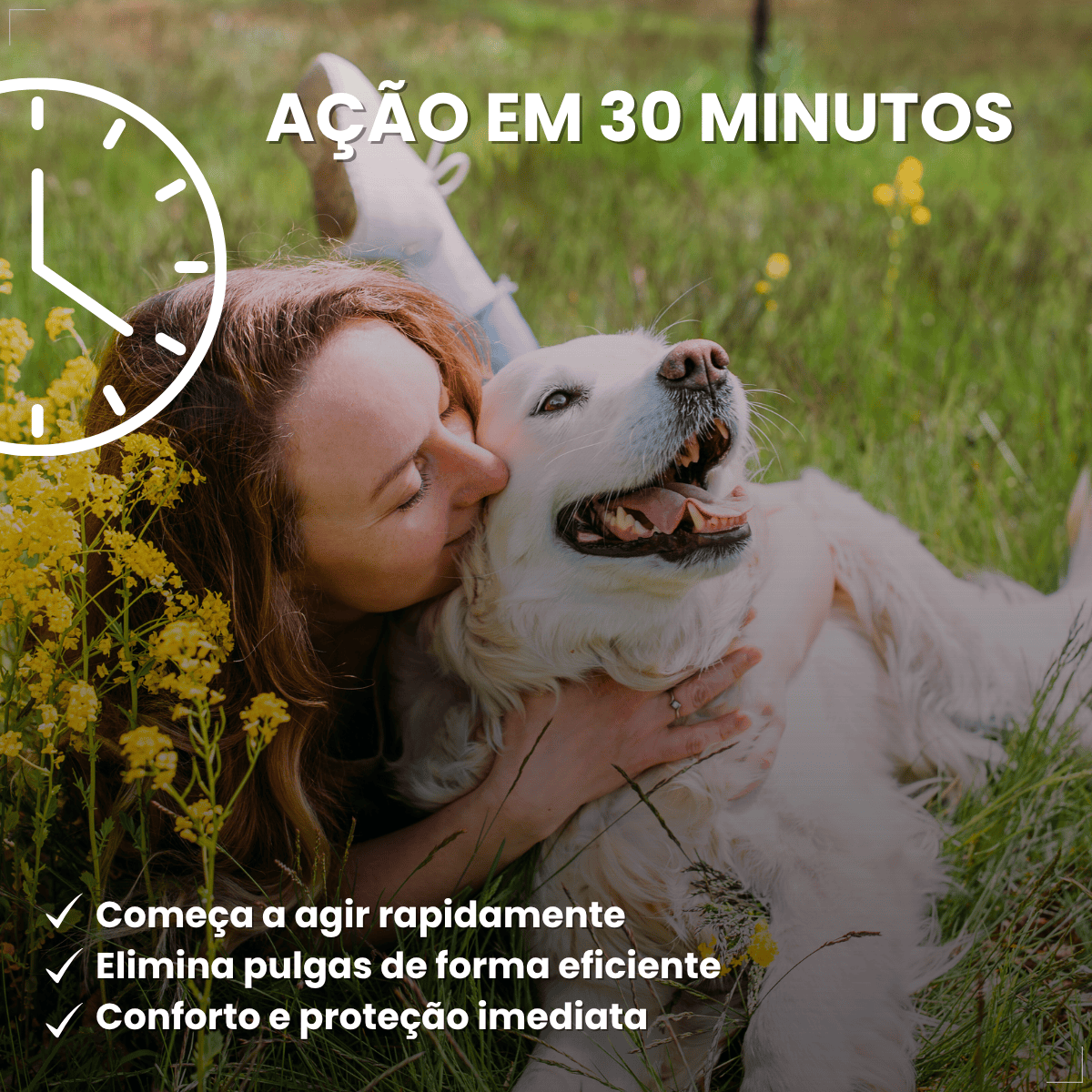 Antipulgas Elanco Comfortis 810mg 30 Dias de Proteção 1comp