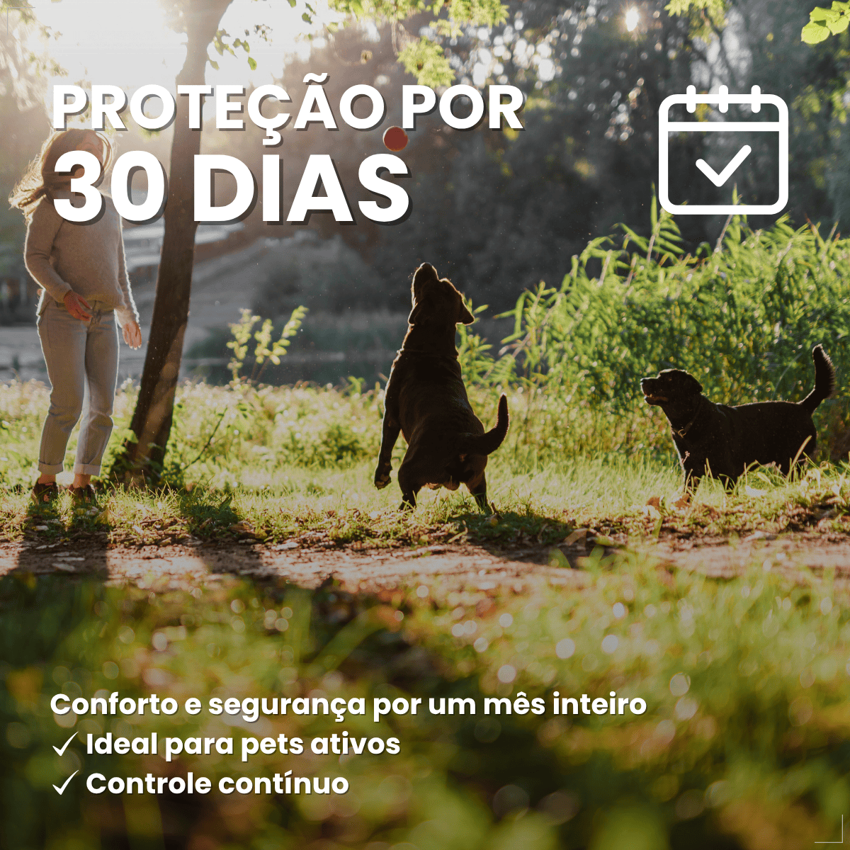 Antipulgas Elanco Comfortis 810mg 30 Dias de Proteção 1comp