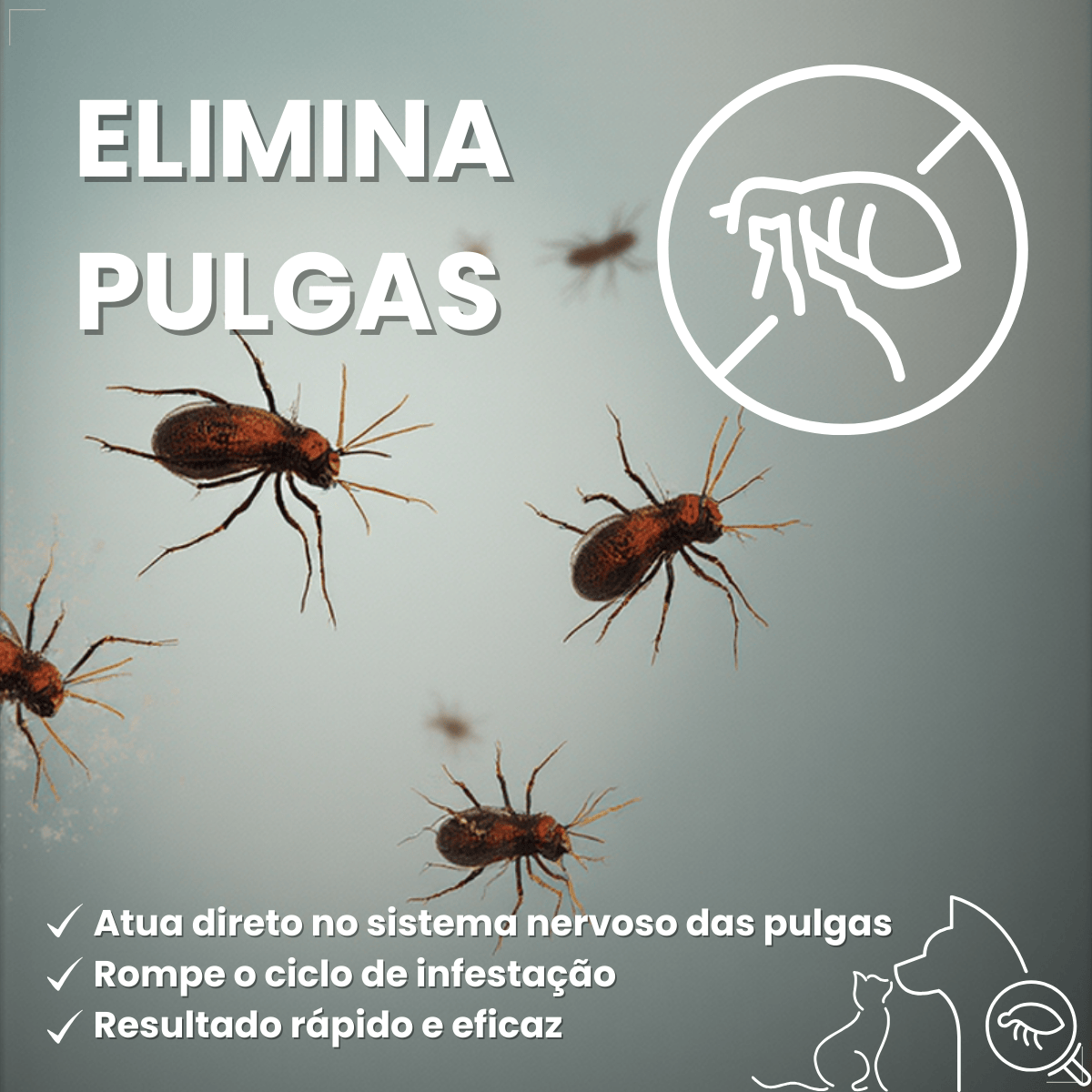 Antipulgas Elanco Comfortis 560mg 30 Dias de Proteção 1comp