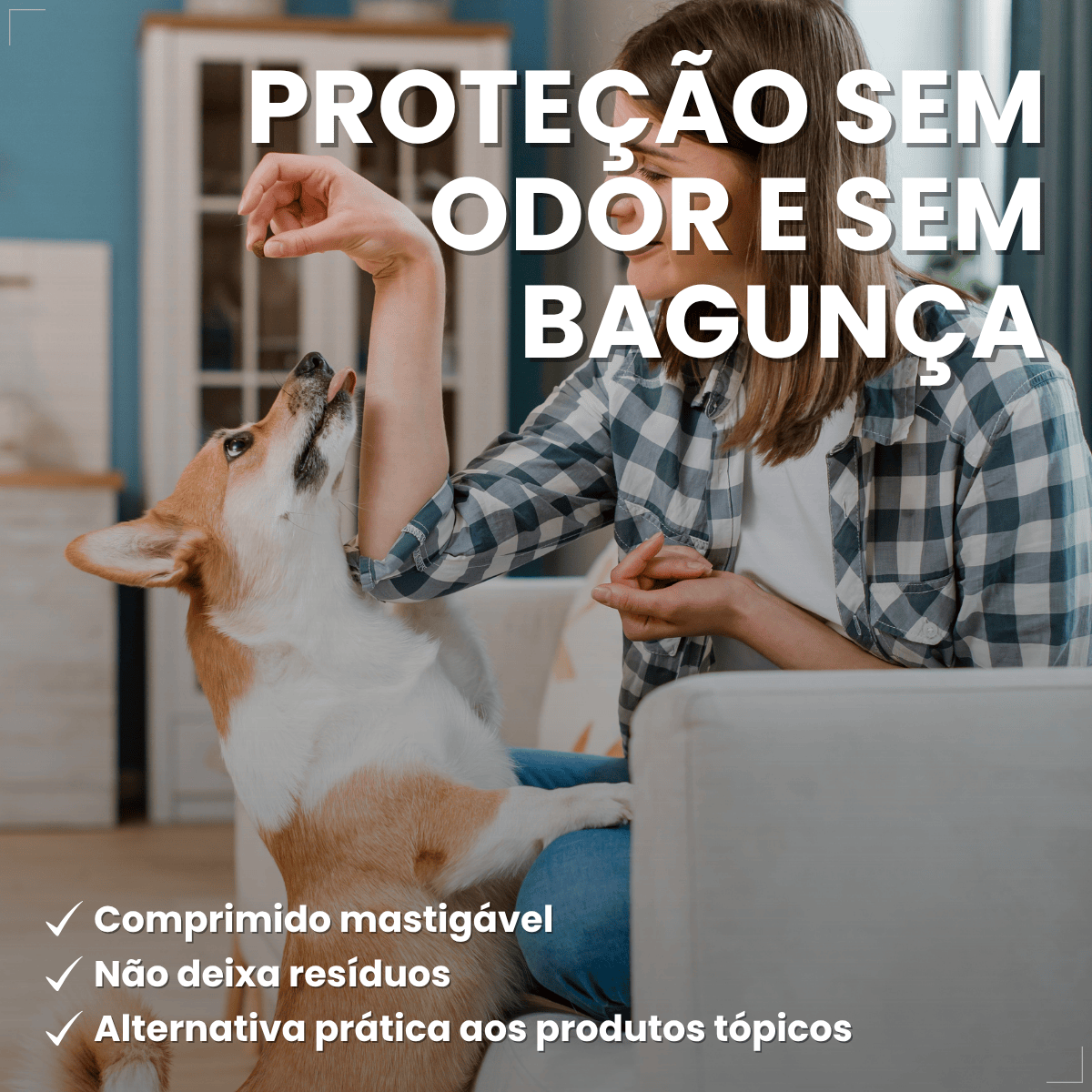 Antipulgas Elanco Comfortis 810mg 30 Dias de Proteção 1comp