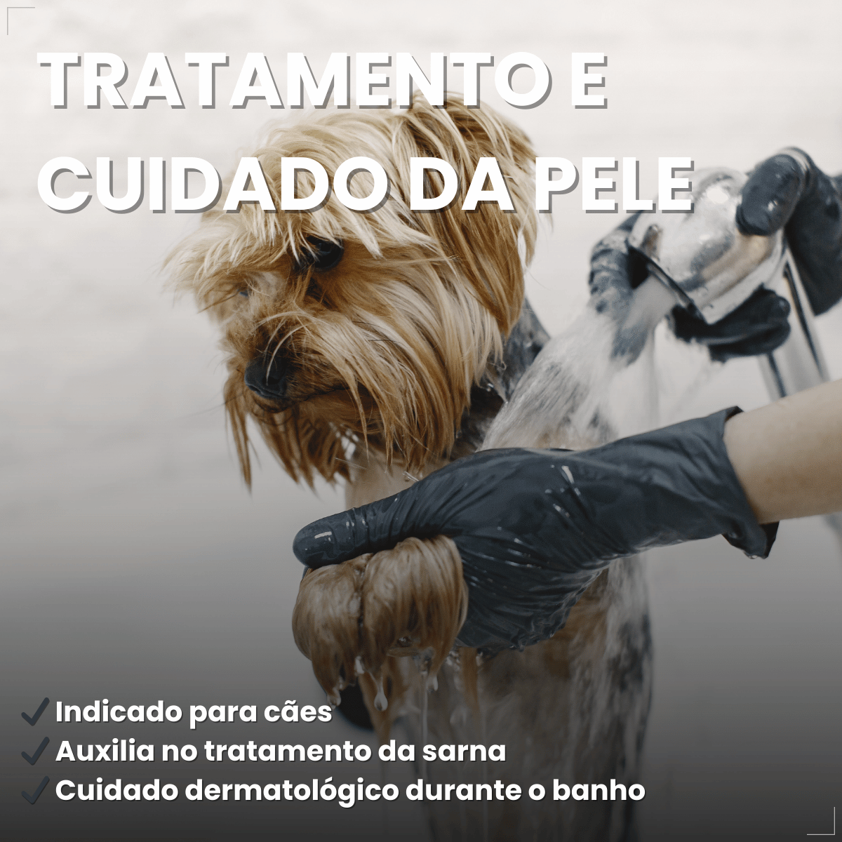 Condicionador Matacura Sarnicida Cães 200ml