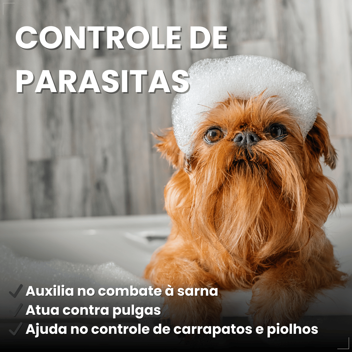 Condicionador Matacura Sarnicida Cães 200ml