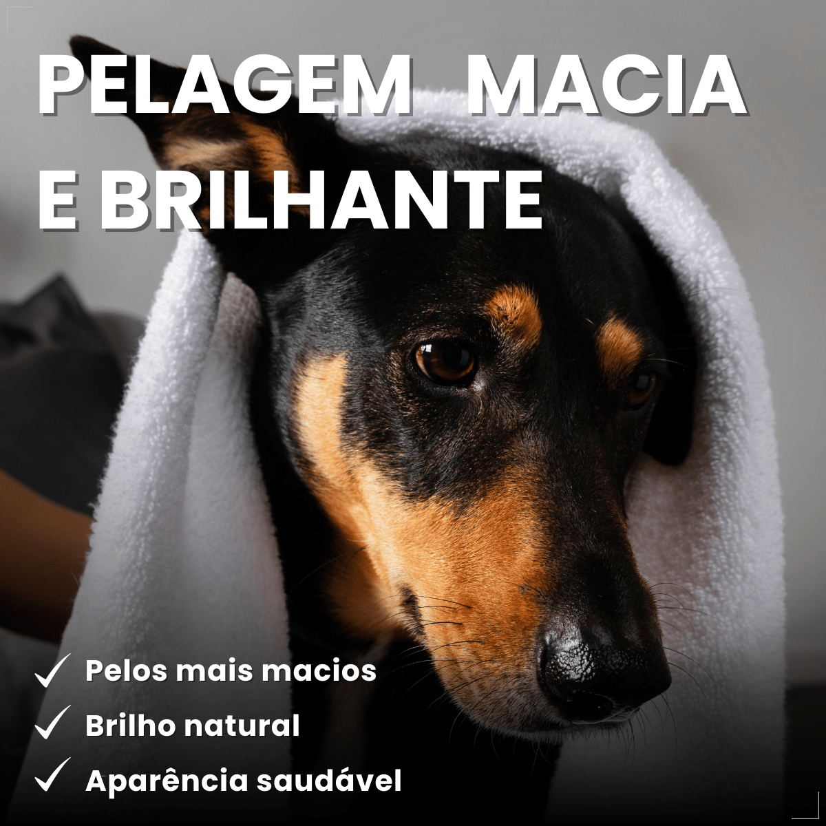 Condicionador Matacura Sarnicida Cães 200ml
